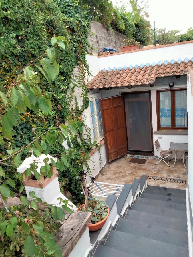 Appartement Casa Rustica à Dorgali Extérieur photo